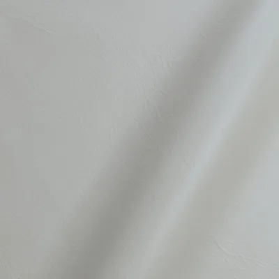 Pure Prestige Luxury Silver swatch
