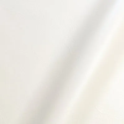 Pure Prestige Luxury Vanilla swatch