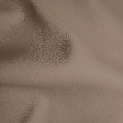 Madison Tortilla swatch