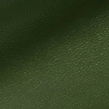 Old Nuvolato Green swatch