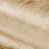 Premium Bronze swatch