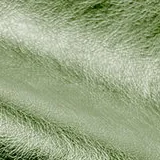 Premium Emerald swatch