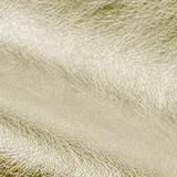 Premium Gold swatch