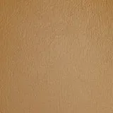 Ranch Caramel swatch