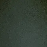 Ranch Green swatch