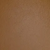 Ranch Light Brown swatch