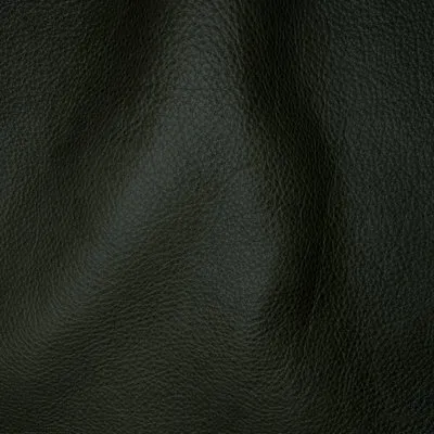 Reale Evergreen swatch