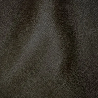 Reale Tarragon swatch