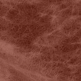Rimini Oxblood swatch