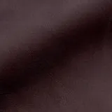 Pure Prestige Silk Aubergine swatch