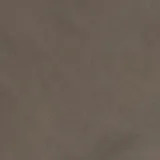 Pure Prestige Silk Mink swatch
