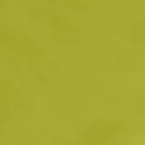 Pure Prestige Silk Spearmint swatch