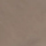 Pure Prestige Silk Truffle swatch