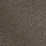 Tango Flint swatch