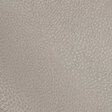 Tango Fog swatch