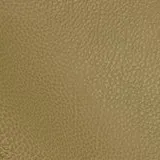 Tango Kiwi swatch