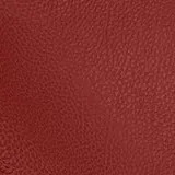 Tango Pomegranate swatch