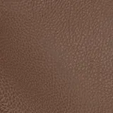Tango Umber swatch