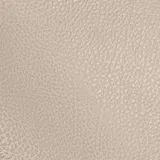 Tango Wheat swatch