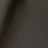 Wind Coco swatch
