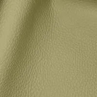 Wind Pistachio swatch