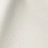 Wind Polar swatch