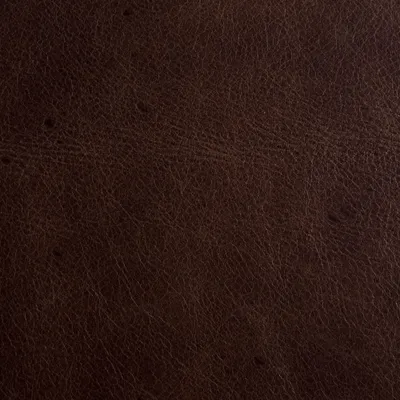 Amalfi Brandy swatch