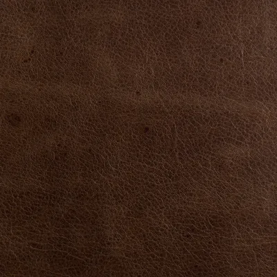 Amalfi Tan swatch