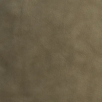 Antique Bone swatch