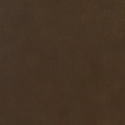 Antique Light Gold H3782 swatch