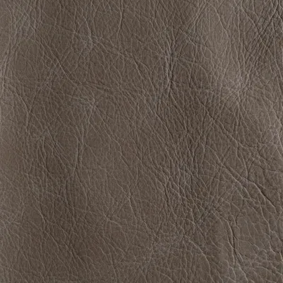 Apache Biscuit swatch