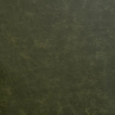 Apache Additions Apache Green swatch