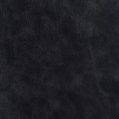Apache Pewter swatch