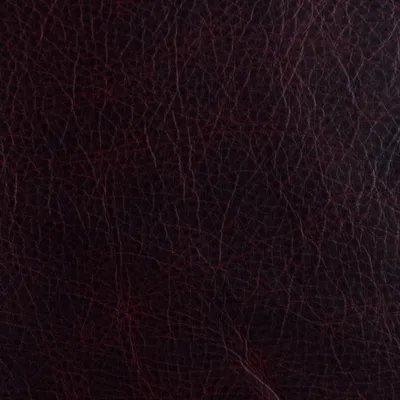 Apache Rouge swatch