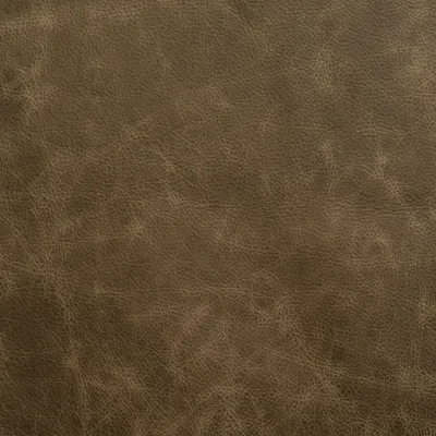 Apache Additions Apache Sand swatch