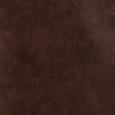 Apache Tan swatch