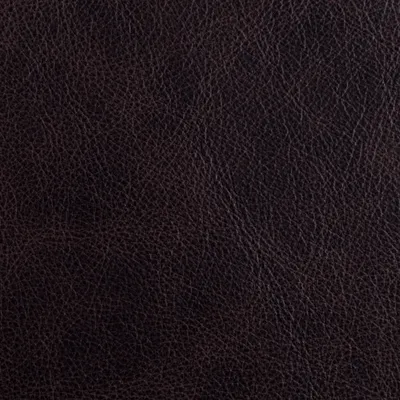 Dune Coffee swatch