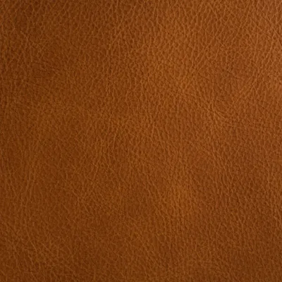 Dune Sand swatch