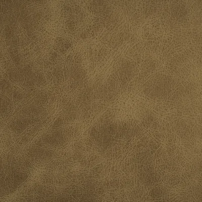Dune Stone swatch