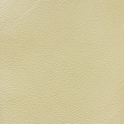 Florence Beige swatch