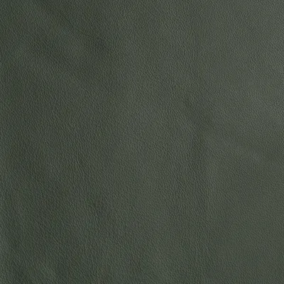 Florence Lichen swatch
