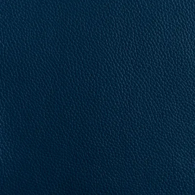 Florence Majolica Blue swatch