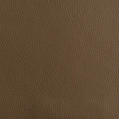 Florence Parchment swatch