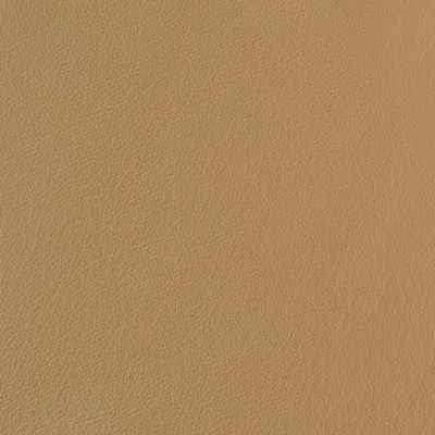 Florence Sahara swatch