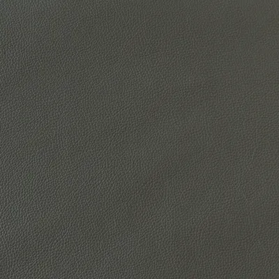 Florence Steel swatch