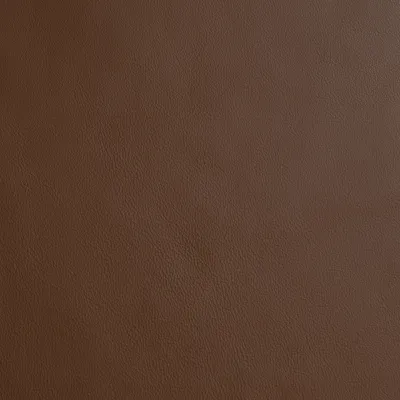 Naples Dark Saddle swatch