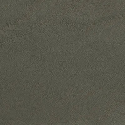 Naples Light Grey swatch