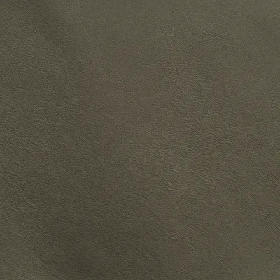 Naples Mushroom swatch