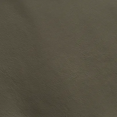 Naples Taupe swatch