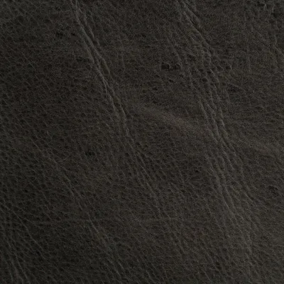 Rancho Olive swatch